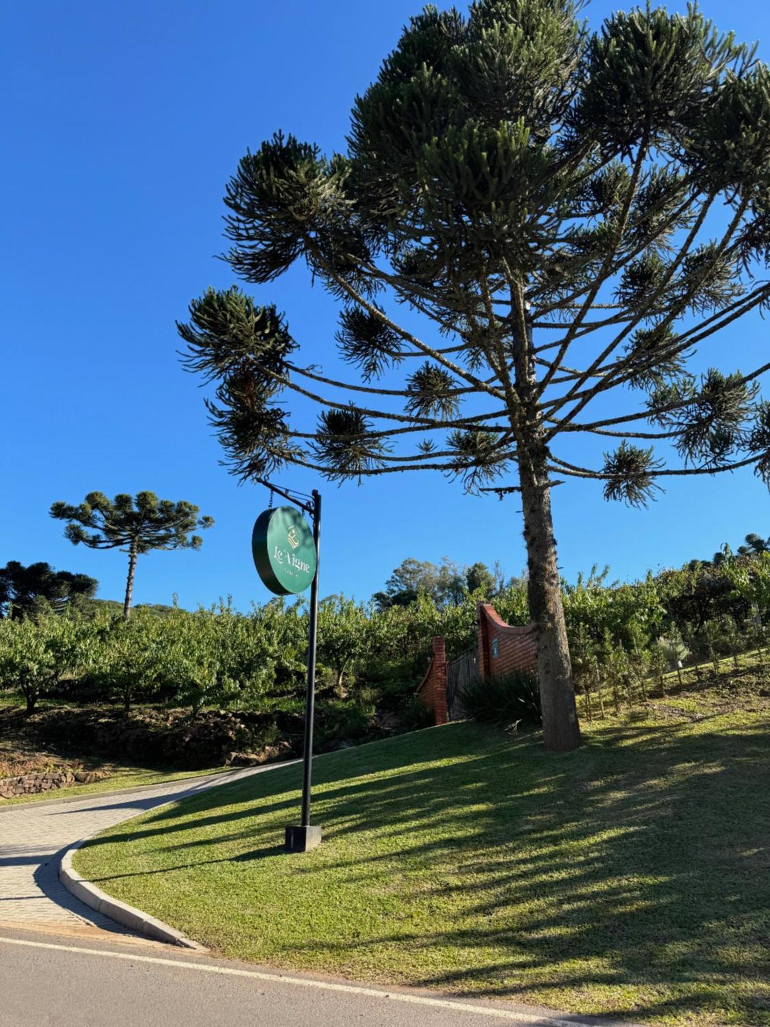 Cabanas Le Vigne Pinto Bandeira Екстериор снимка