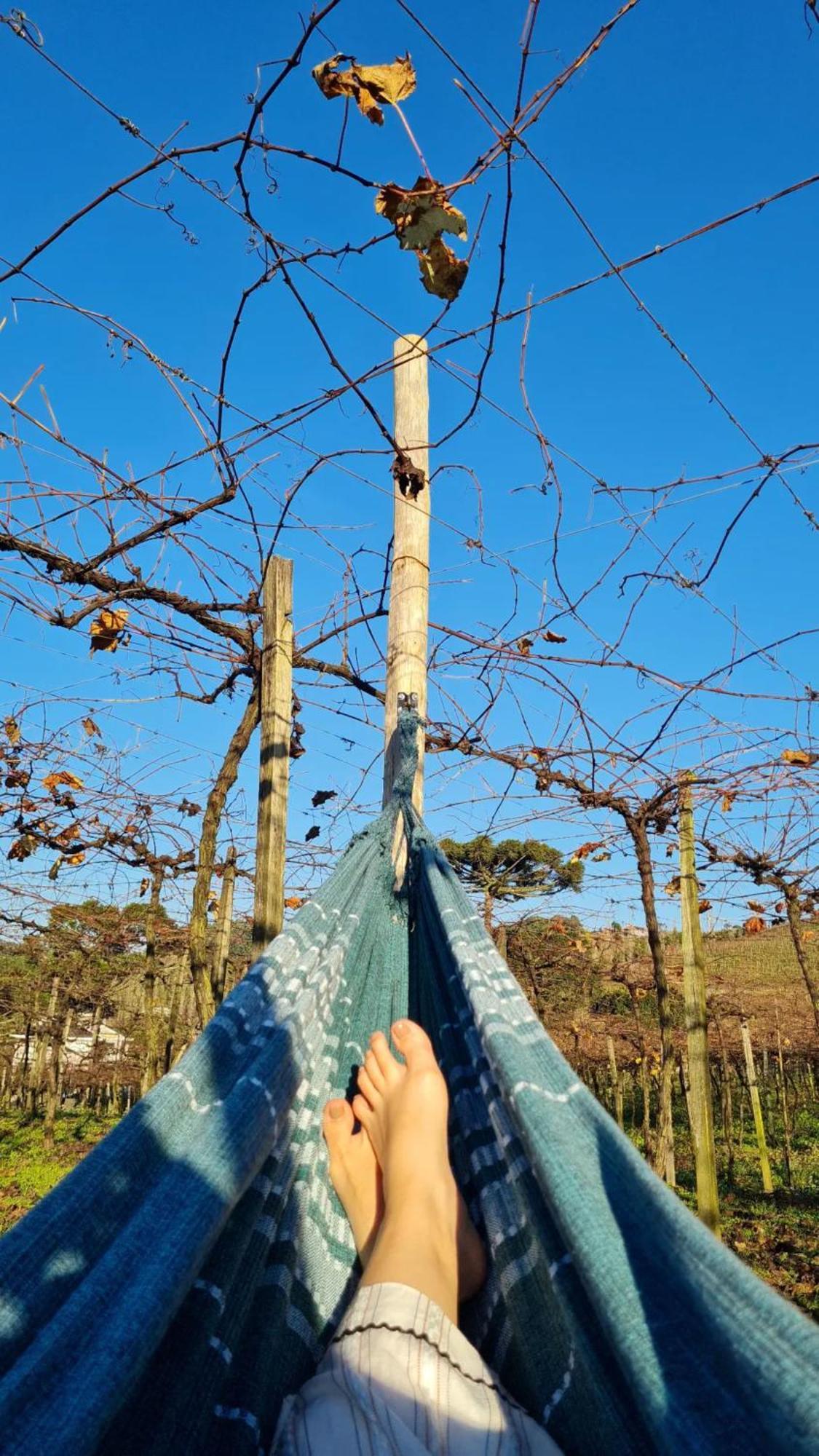 Cabanas Le Vigne Pinto Bandeira Екстериор снимка