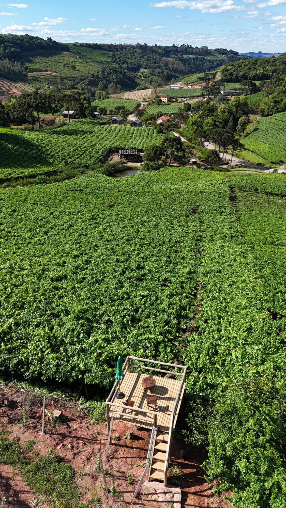 Cabanas Le Vigne Pinto Bandeira Екстериор снимка