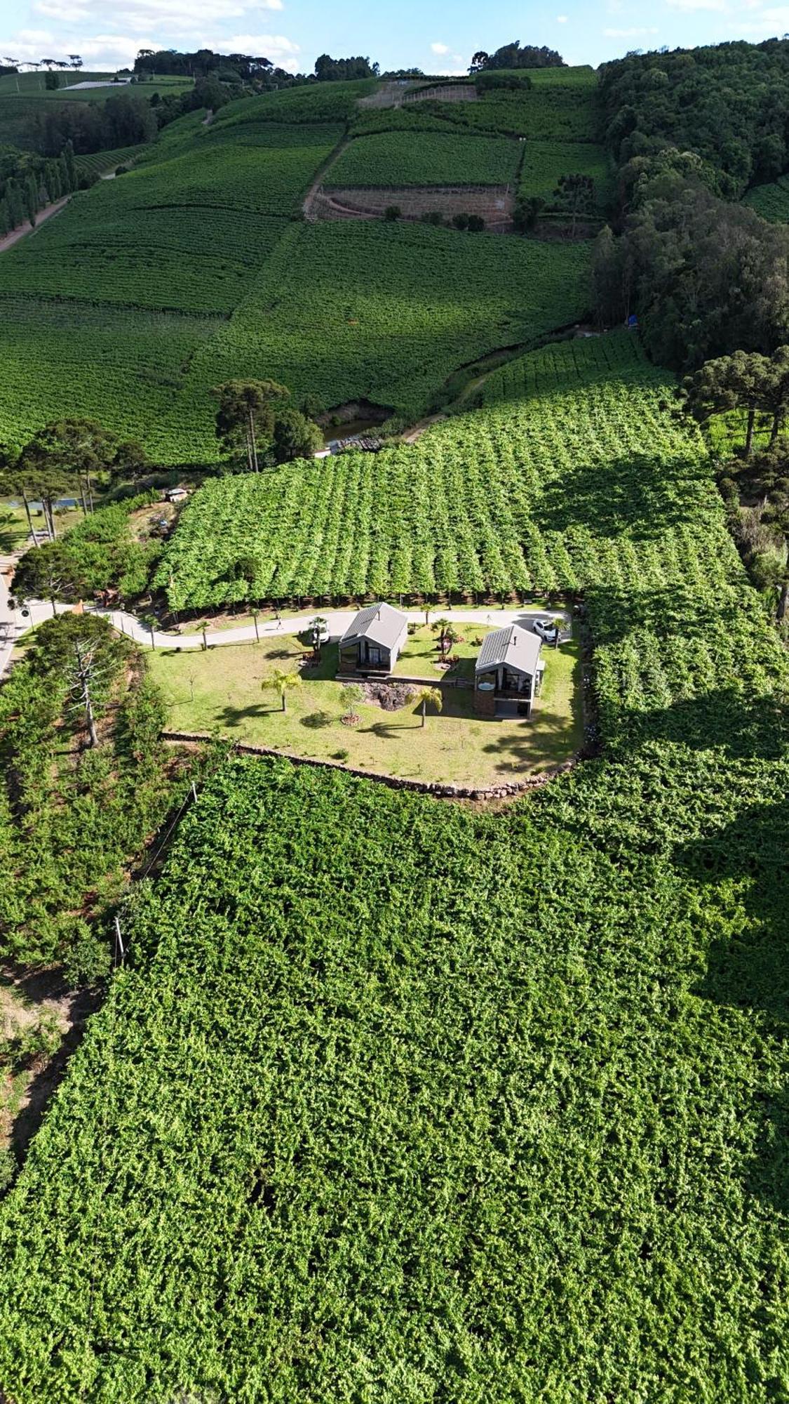 Cabanas Le Vigne Pinto Bandeira Екстериор снимка