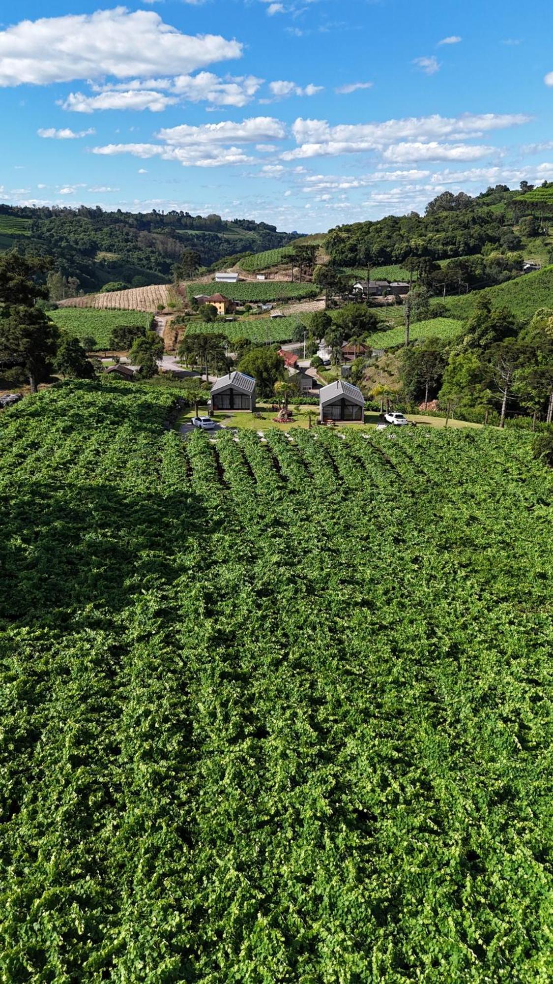 Cabanas Le Vigne Pinto Bandeira Екстериор снимка